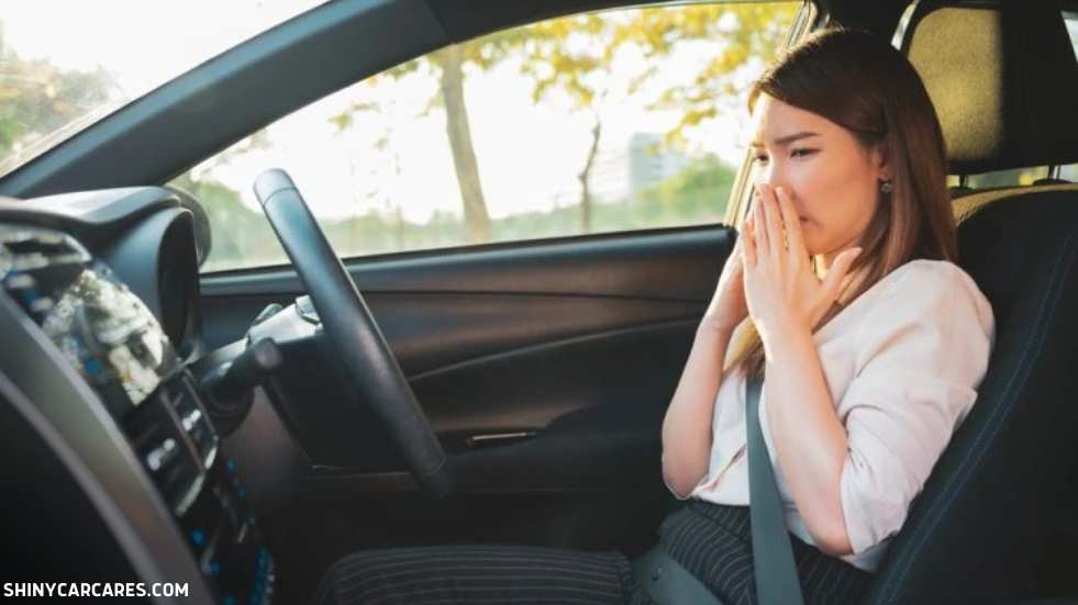 How to Clean Pee Out of Car Seats