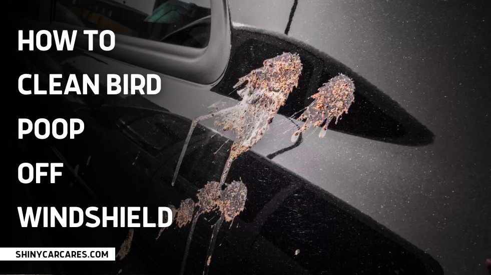 how to clean bird poop off windshield