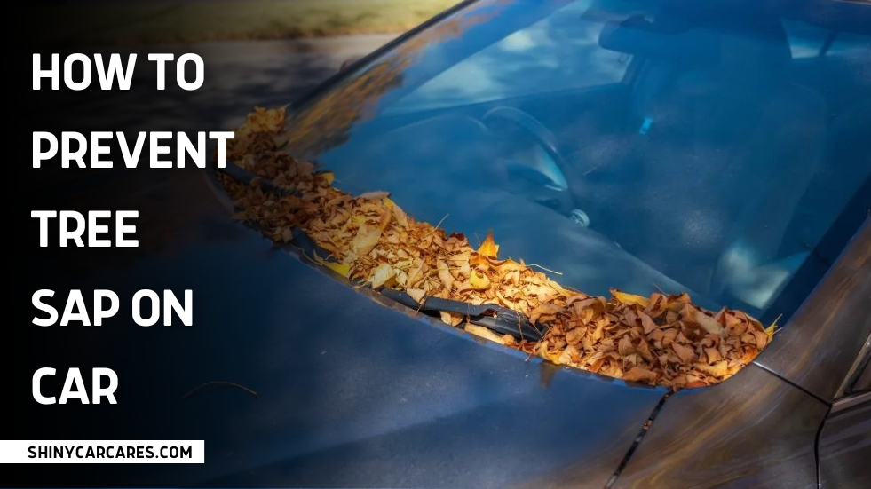 how to prevent tree sap on car